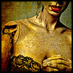 Photography by Derek R. Audette