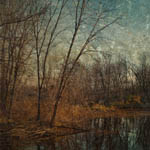 Photography by Derek R. Audette
