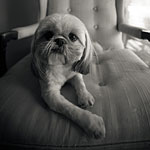 Photography by Derek R. Audette